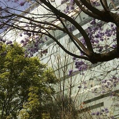 Habita, City, A Member Of Design