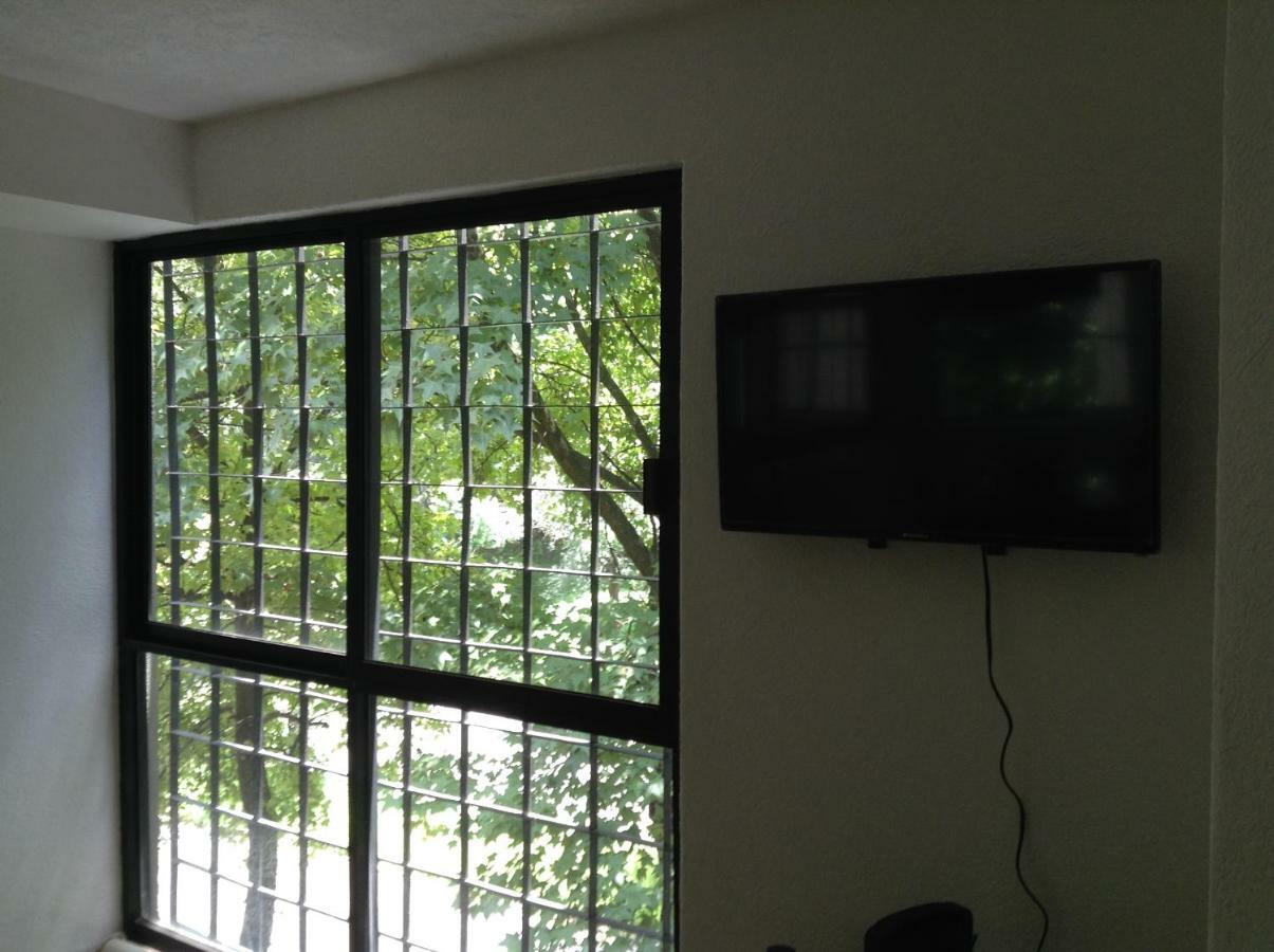 Lovely Ahuehuetes Apartment Mexico City
