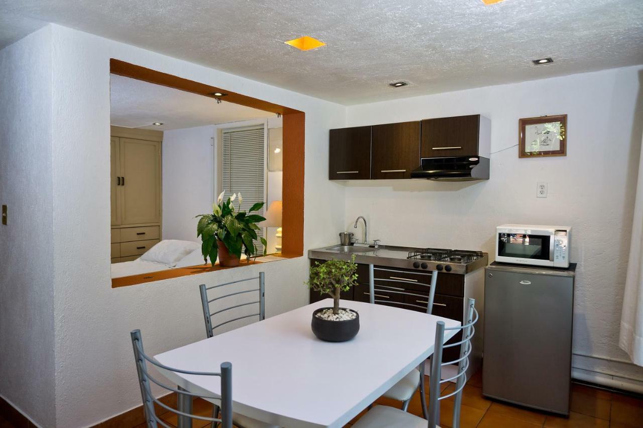 4a, Terraza, Garden House, Welcome To San Angel * Mexico City