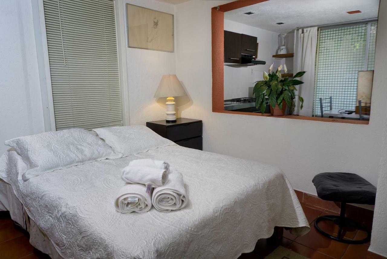 Apartment 4a, Terraza, Garden House, Welcome To San Angel Mexico City