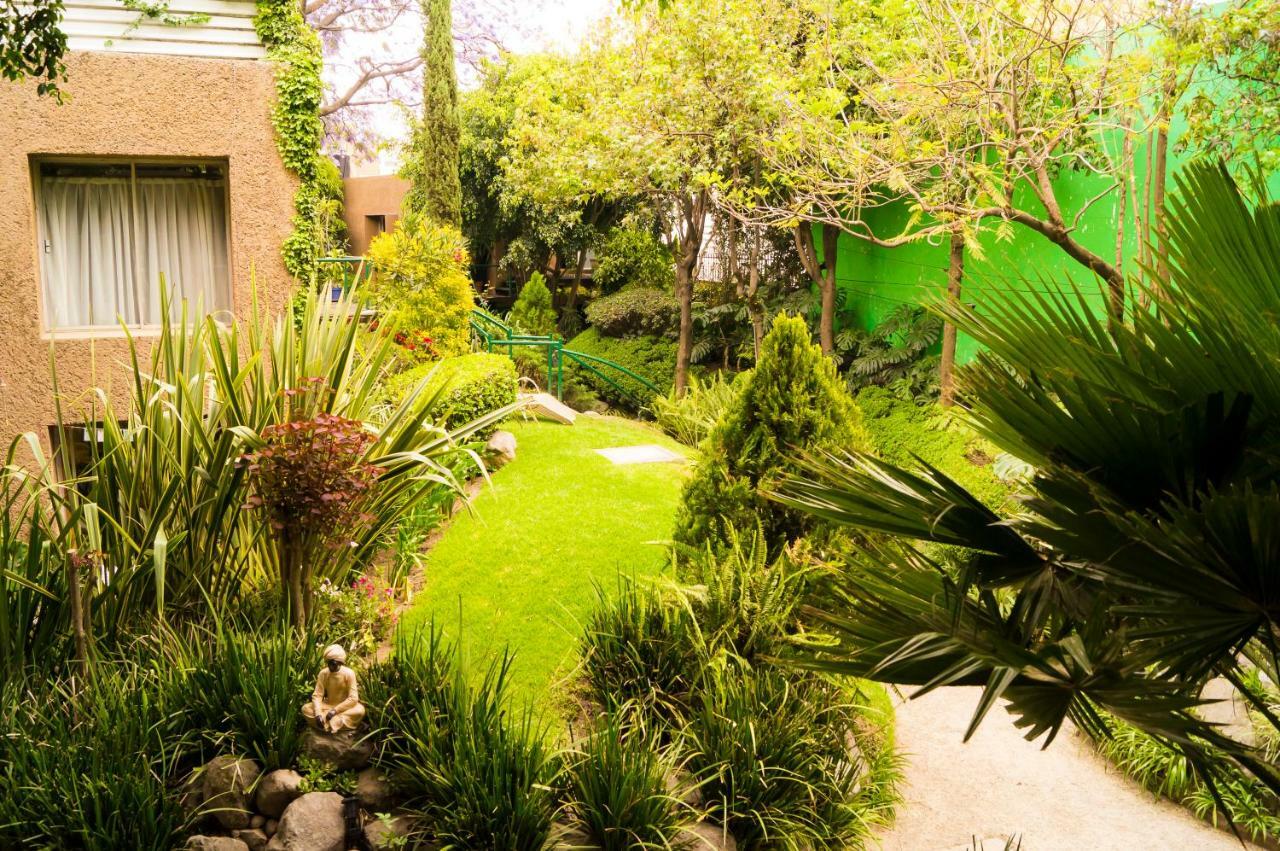 4a, Terraza, Garden House, Welcome To San Angel Apartment *
