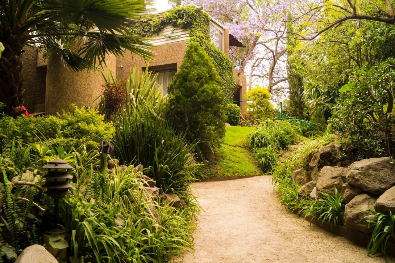 Apartment 5a, Altavista, Garden House, Welcome To San Angel Mexico City