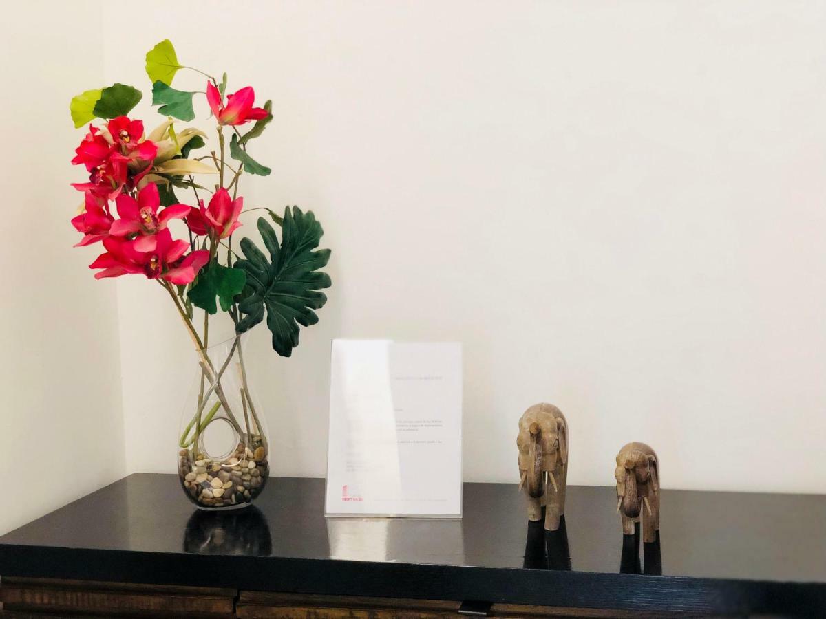 Boutique Centro Historico-402 Apartment Mexico City