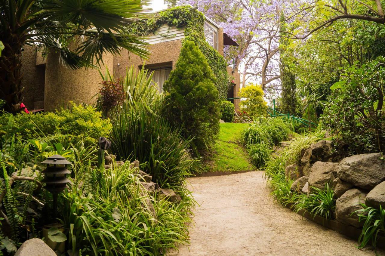 1-b El Rincon Garden House, Welcome To San Angel Apartment *