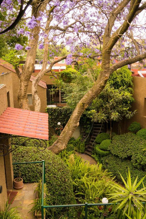 1-b El Rincon Garden House, Welcome To San Angel Apartment *