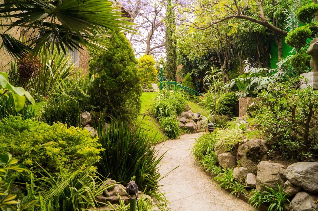 Apartment 1-b El Rincon Garden House, Welcome To San Angel Mexico City
