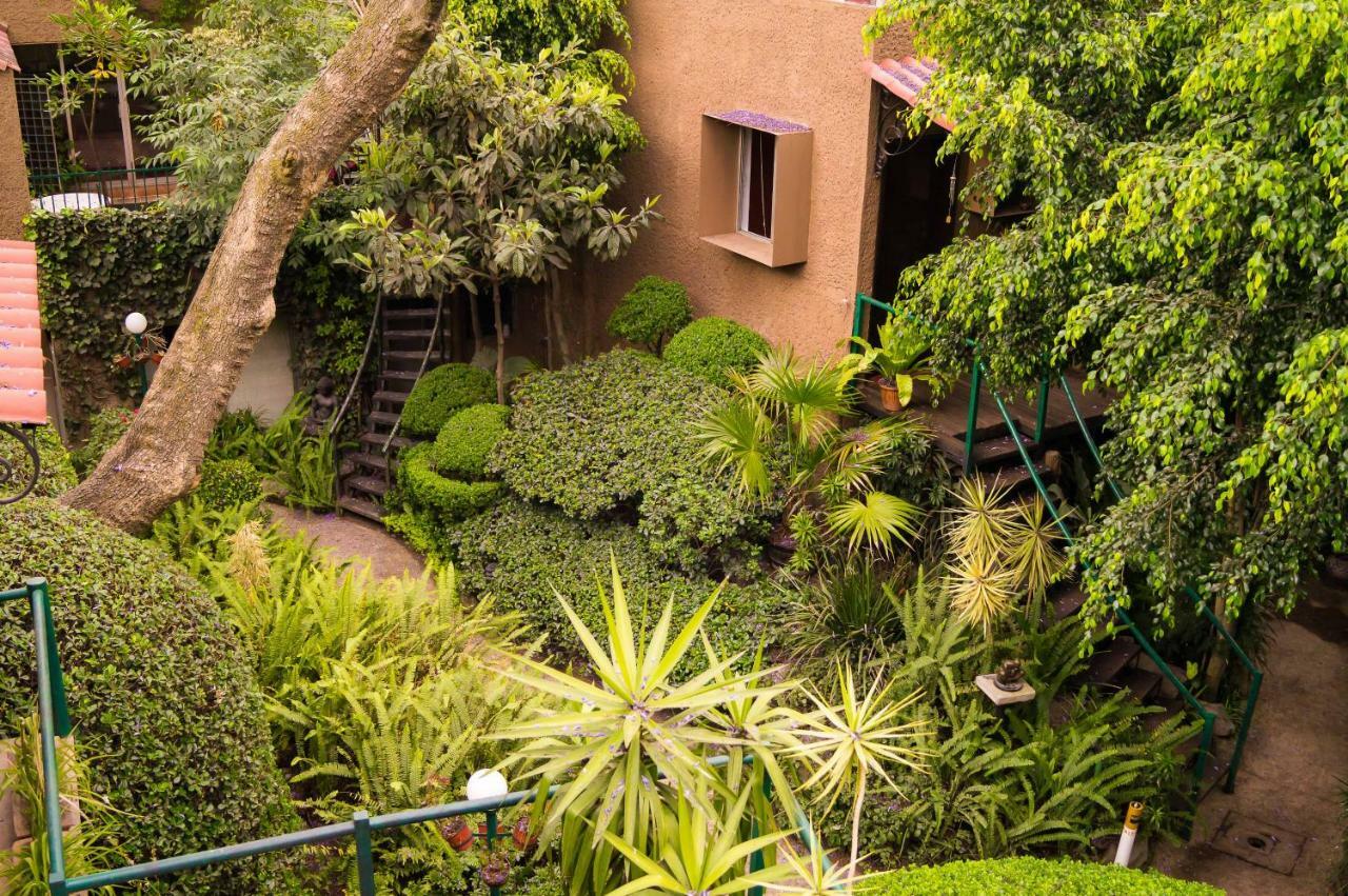 1-b El Rincon Garden House, Welcome To San Angel Apartment