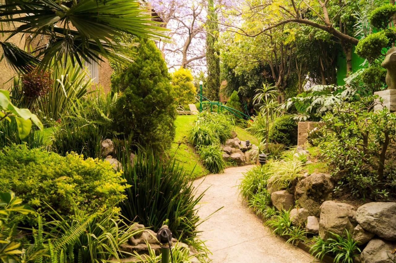 4a, Terraza, Garden House, Welcome To San Angel Apartment *