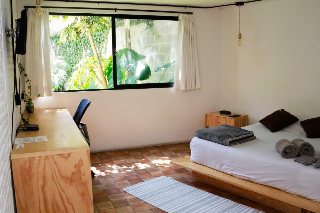 Coyoacan Lofts Apartment
