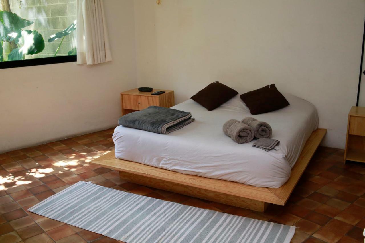Coyoacan Lofts * Mexico City