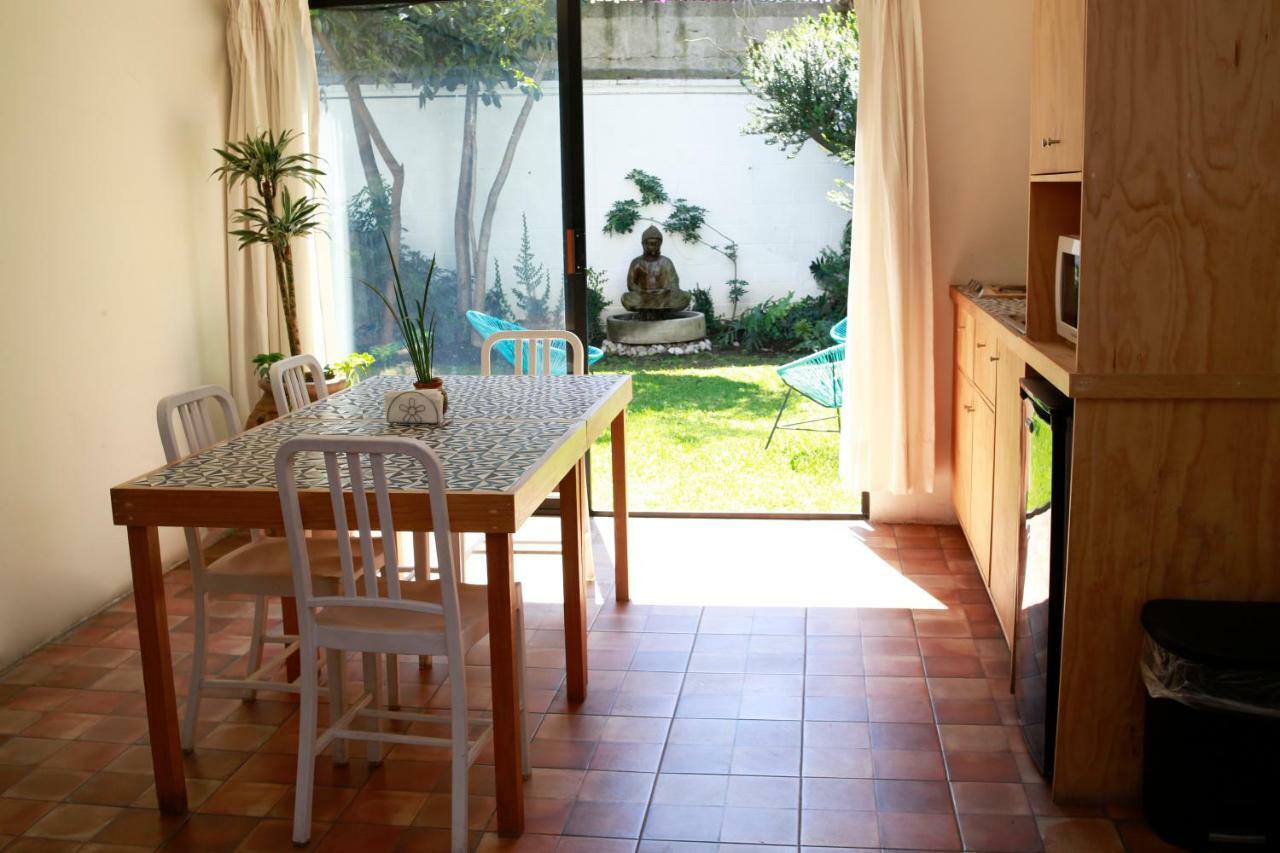 Coyoacan Lofts