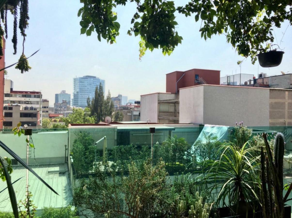 Homestay En Polanco