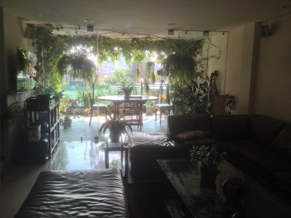 Homestay En Polanco
