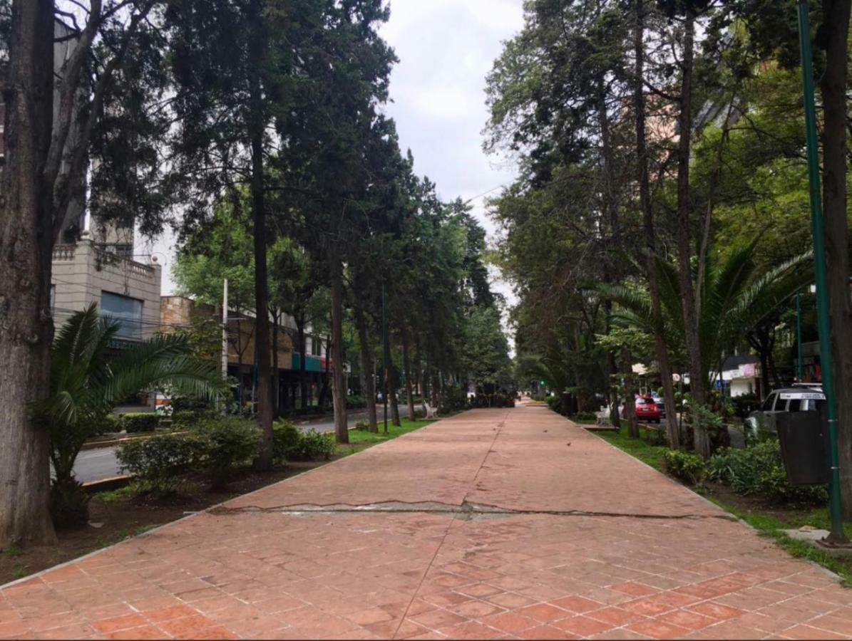 En Polanco Homestay Mexico City