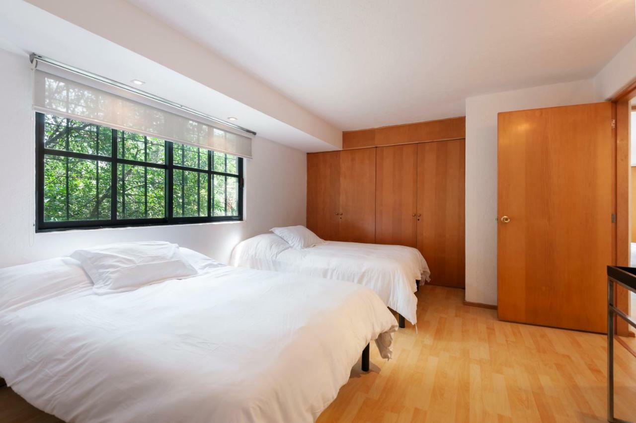 Lovely Ahuehuetes Apartment Mexico City