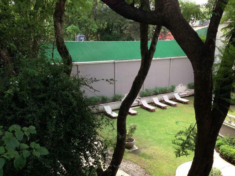 Pug Seal Coyoacan Mexico City