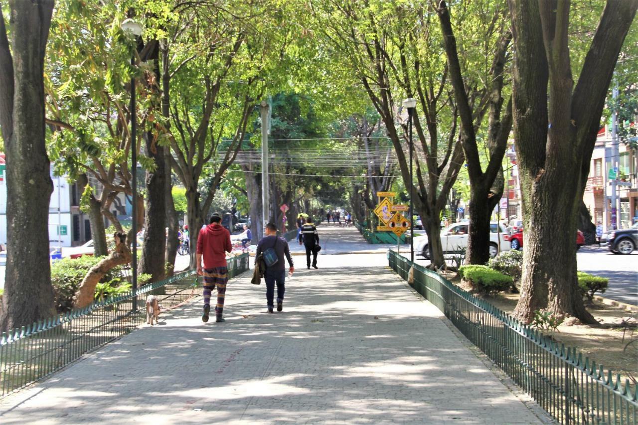 Departamentos Amueblados La Condesa
