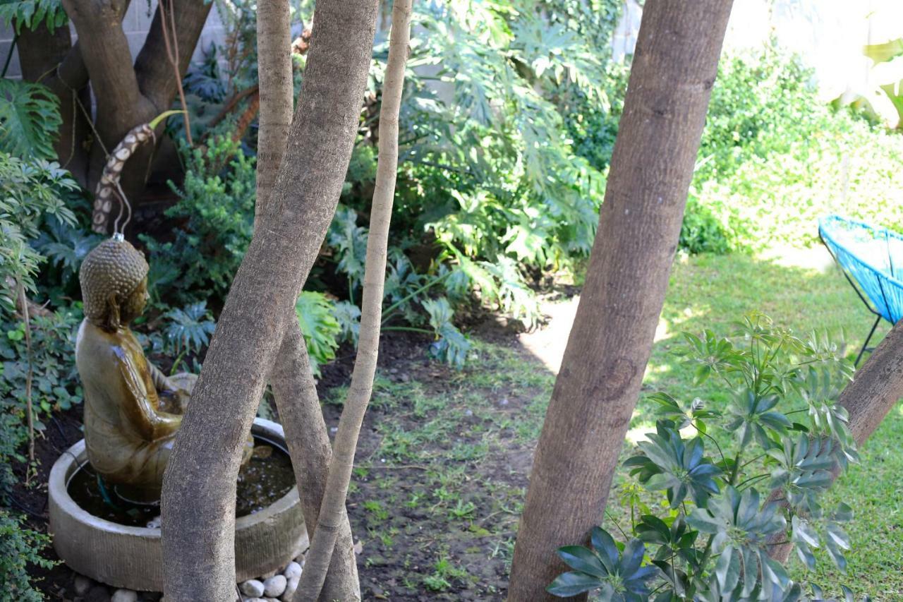Apartamento Coyoacan Lofts *