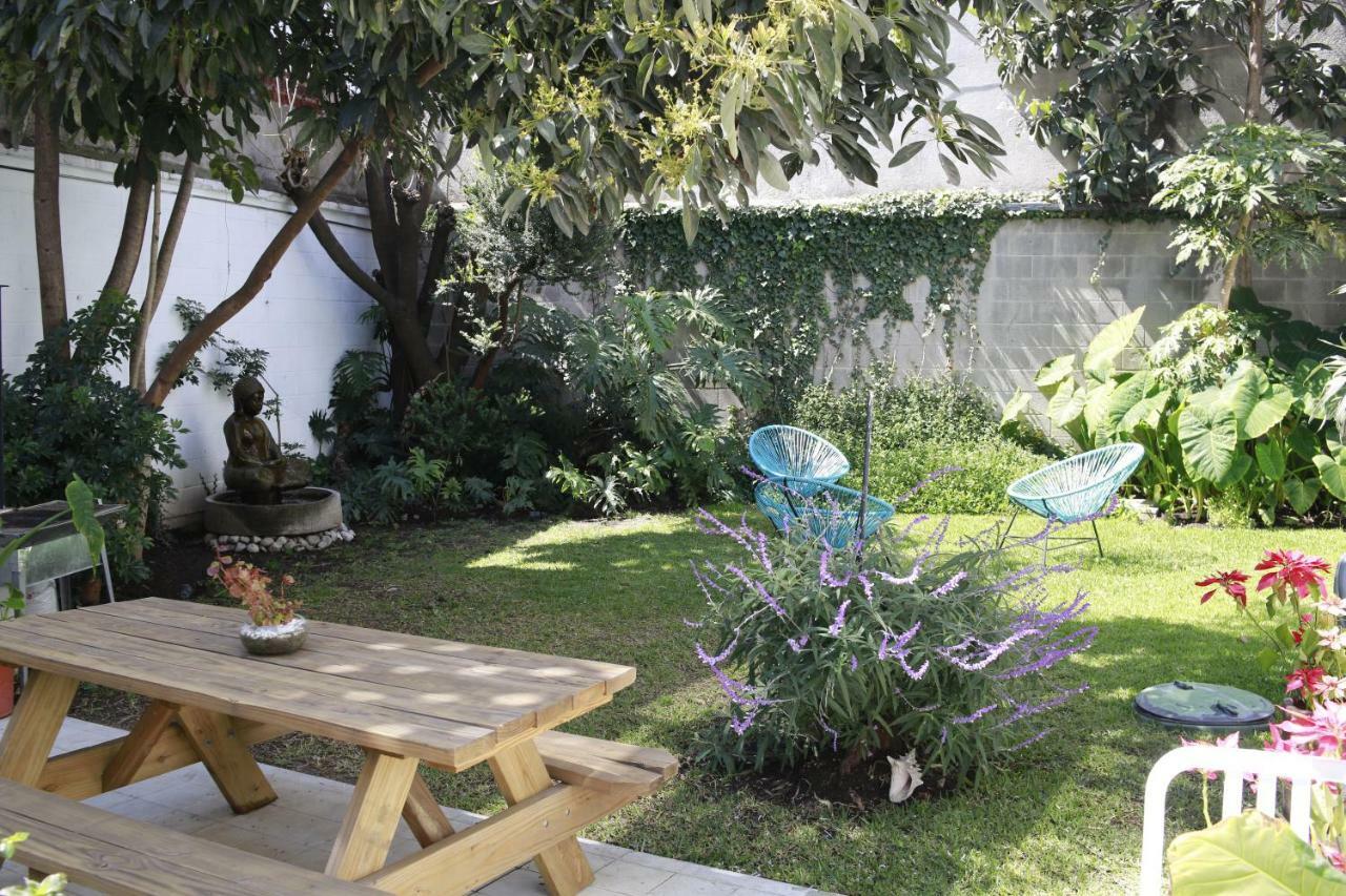 Coyoacan Lofts Apartamento