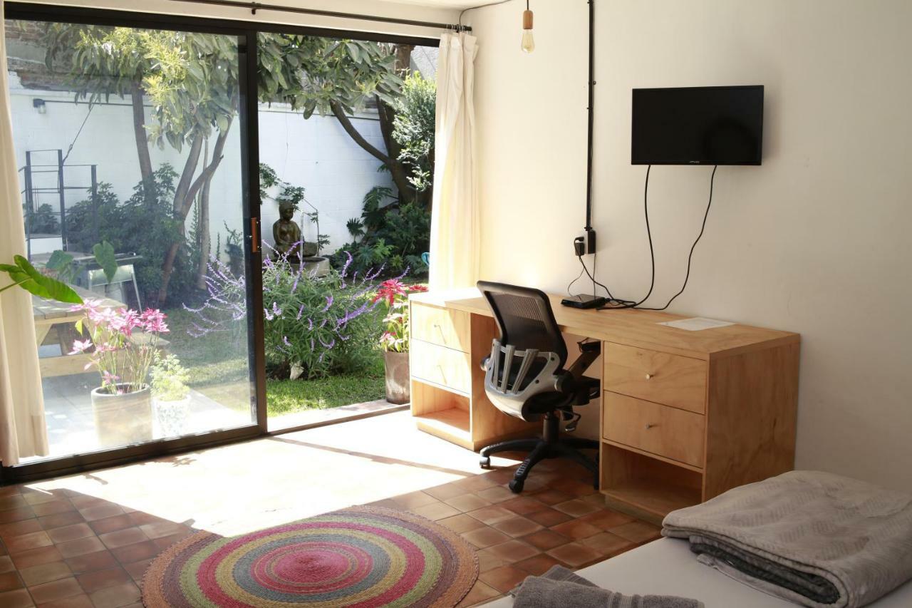 Coyoacan Lofts
