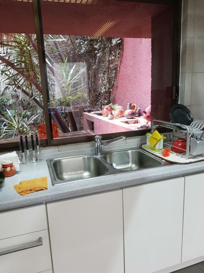 Homestay Casa San Angel Mexico City