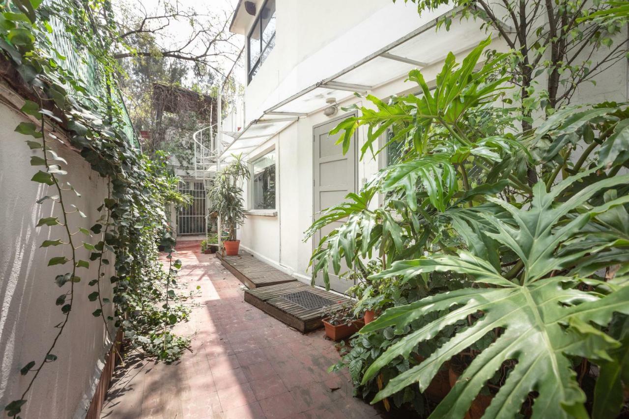 Loft Contemporaneo A 50m De La Plaza Principal De Coyoacan * Mexico City