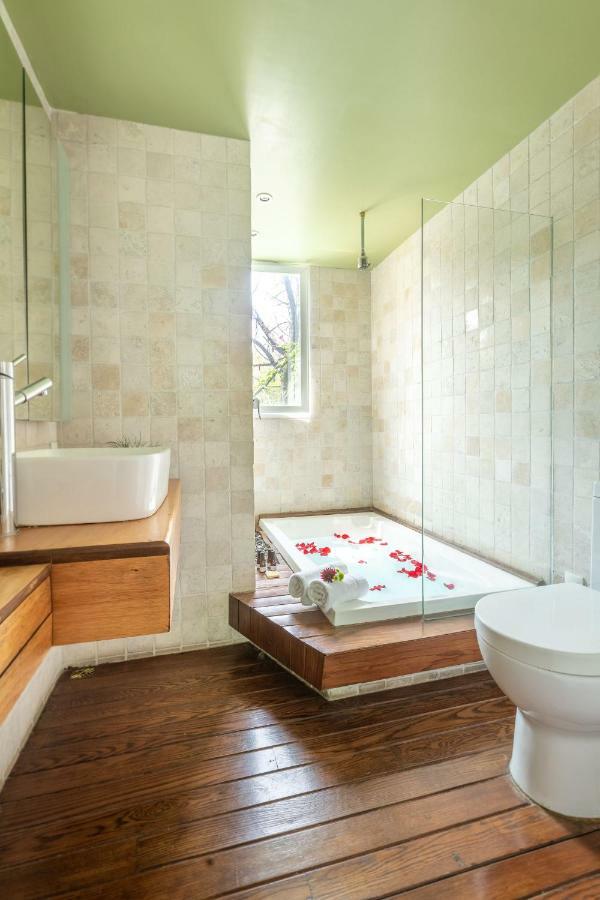 Apartment Loft Contemporaneo A 50m De La Plaza Principal De Coyoacan *