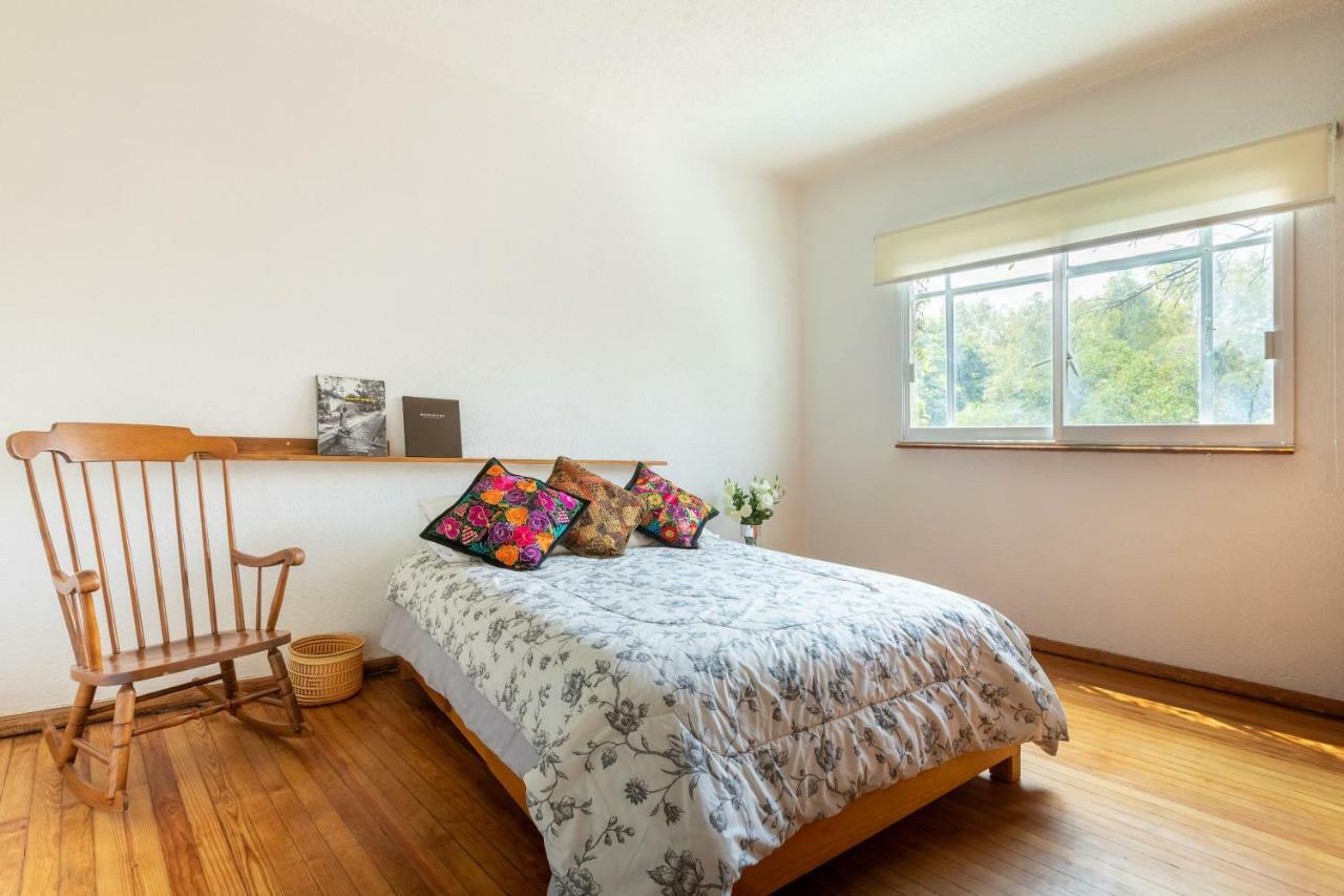 Loft Contemporaneo A 50m De La Plaza Principal De Coyoacan *