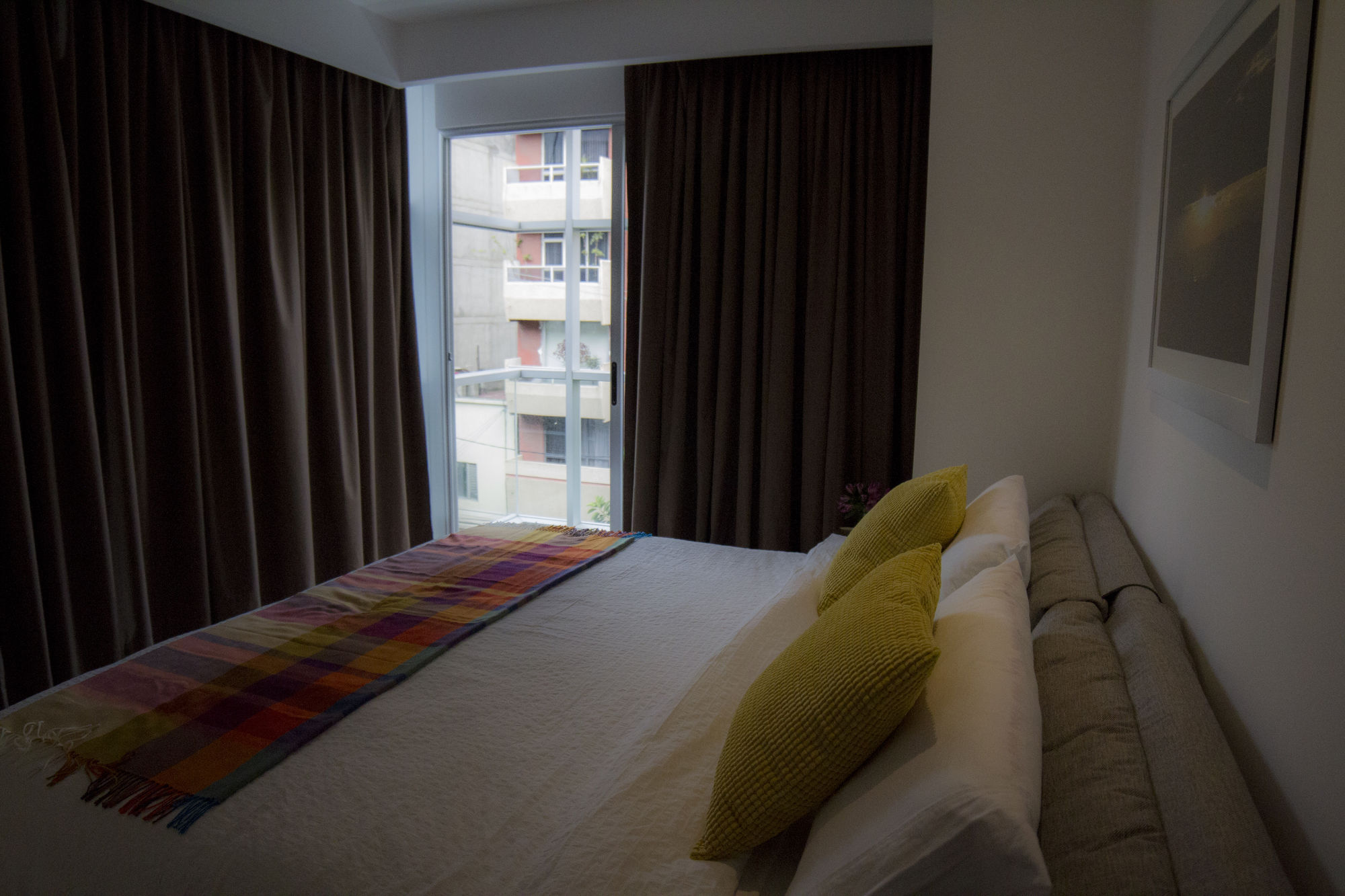 Homing Bird Allure Condesa Cdmx * Mexico City