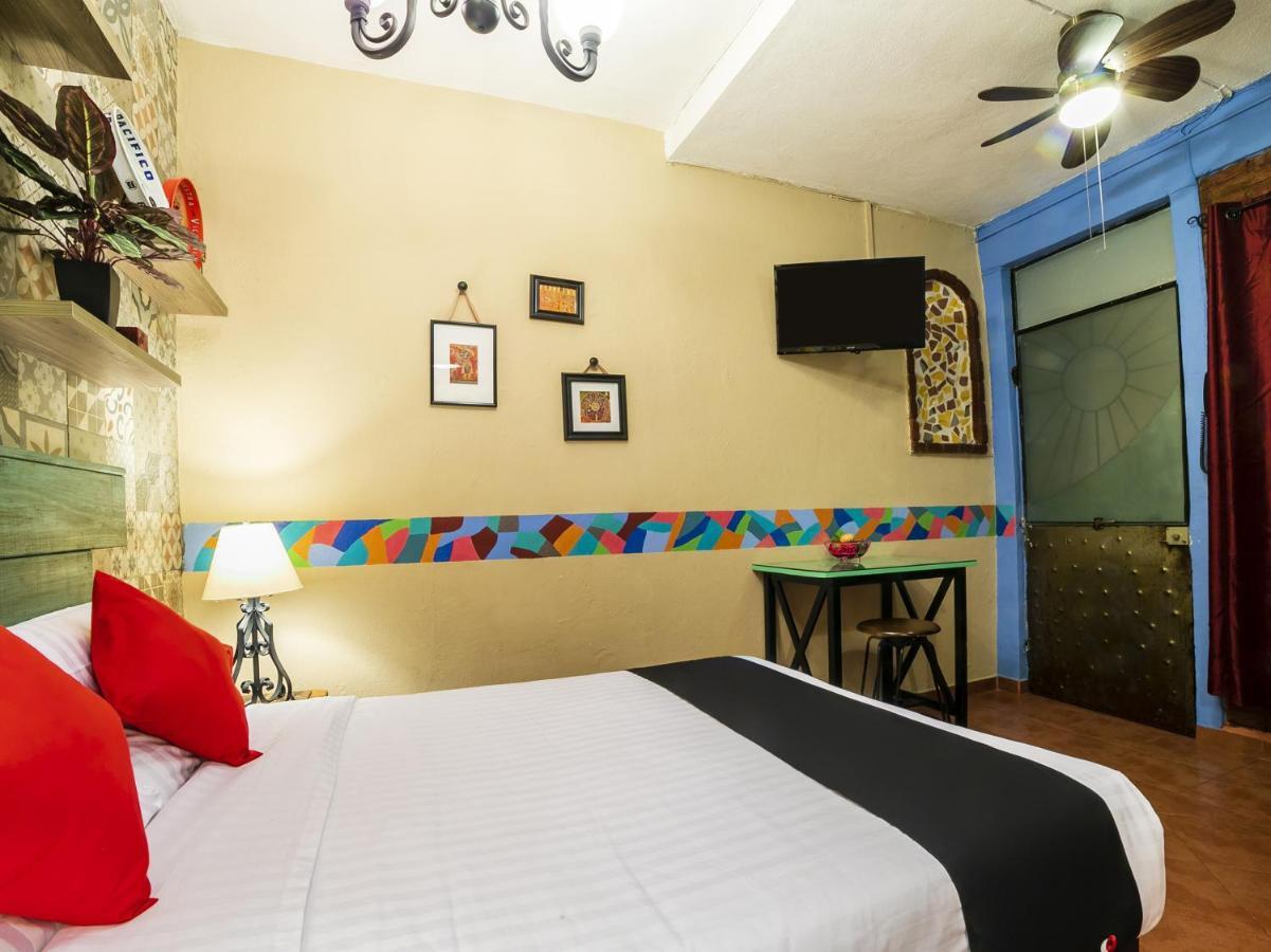 Hotel Coyotito Beds San Angel, Suites Con Encanto!