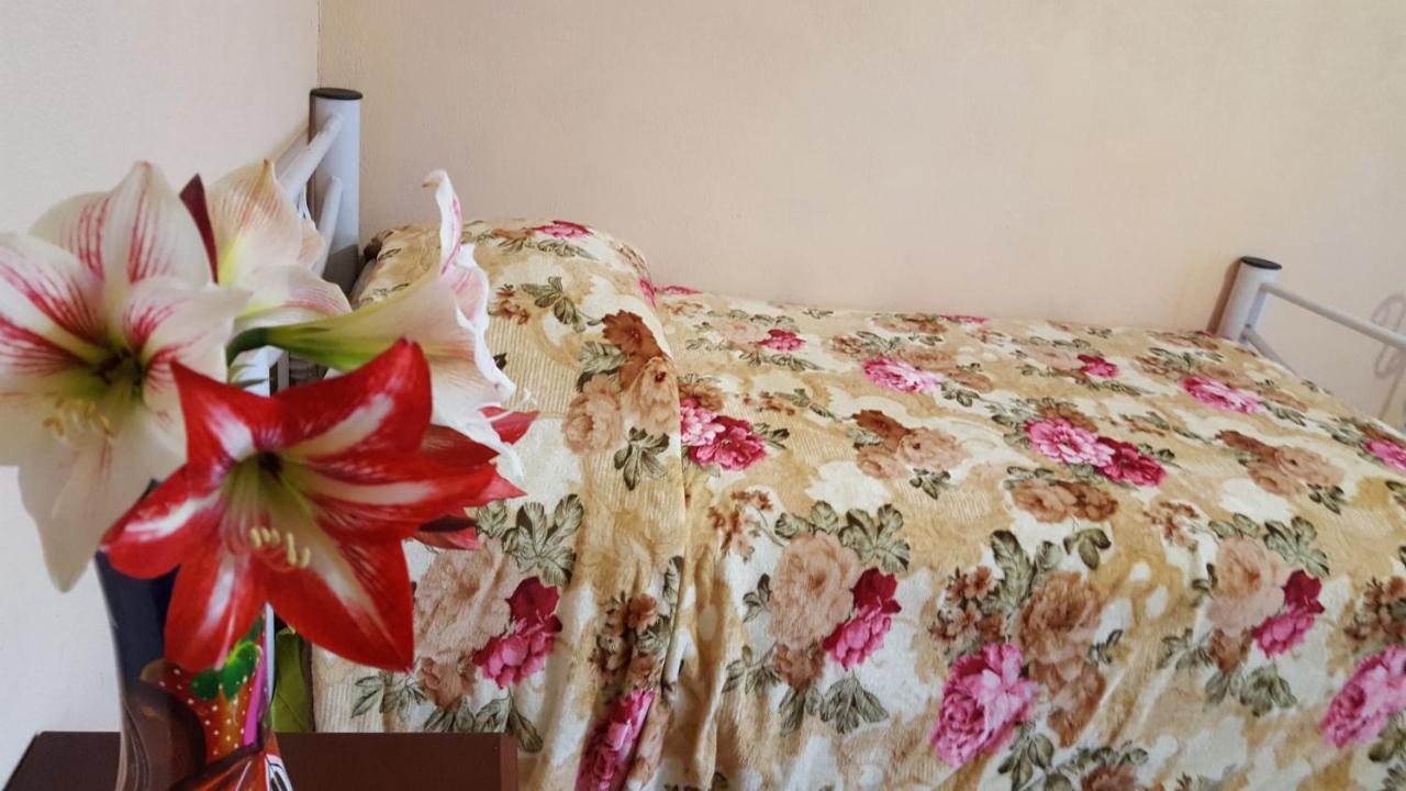 Casa De Huespedes Noria Guest house *
