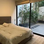 Amazing Garden House In Condesa