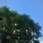 Loft Increible En La Mejor Ubicacion De La Cdmx