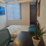 Calida Casa Pet Friendly, Cdmx