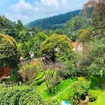 Alojamiento Tipo Cabana, Rodeado De Bosque