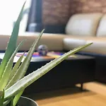 Apartment Downtown With Balcony 12 C