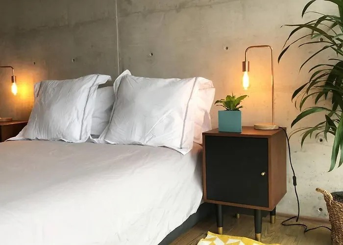 Super Cool & Comfortable In The Heart Of Condesa.