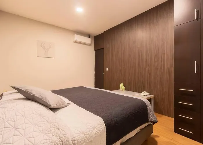 307 Spacious Ac Apt Historic Cdmx Rooftop