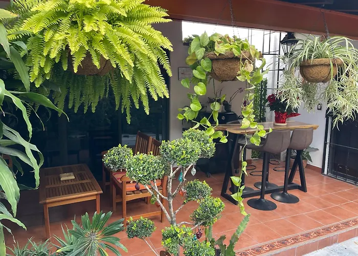 Mini Loft En Coyoacan