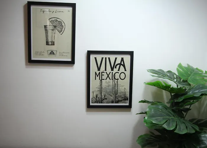 Roma Vista Loft- Oasis En El Corazon De La Roma