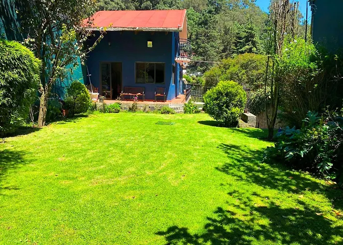 Alojamiento Tipo Cabana, Rodeado De Bosque