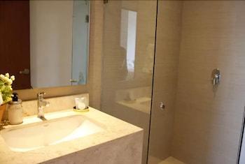 Polanco Area 2 Bedrooms & 2 Bathrooms Apartment Mexico City