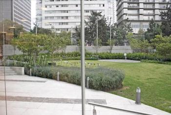 Super Pool & Gym Polanco Area Apartment
