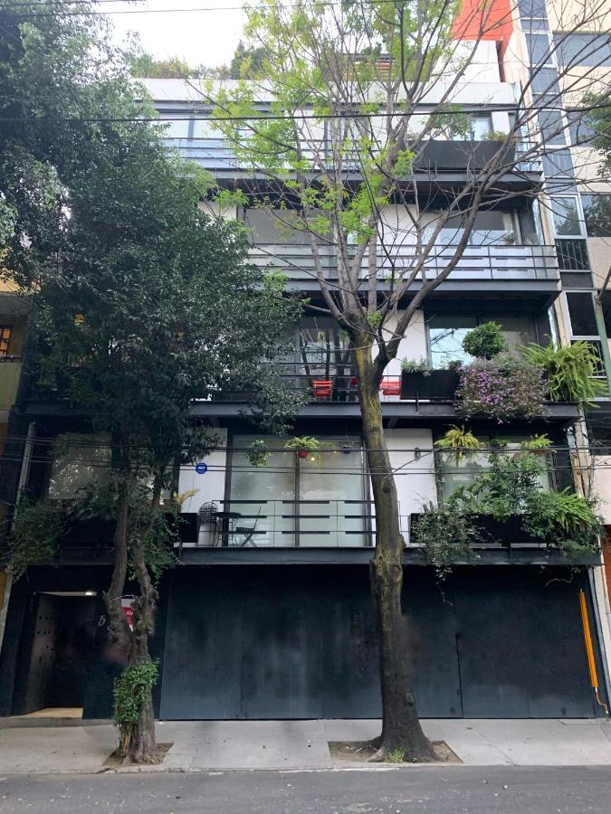 Amazing Garden House In Condesa Mexico City