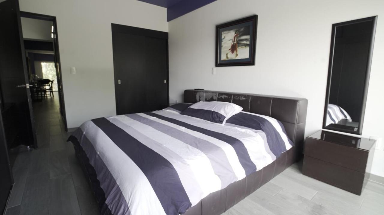 Apartment One Bedroom Del Valle