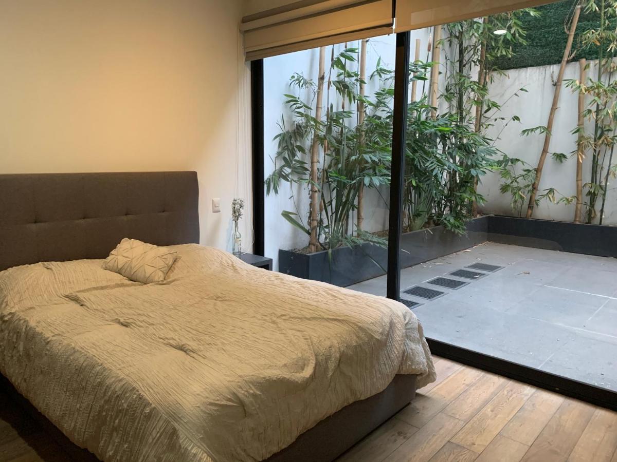 Amazing Garden House In Condesa