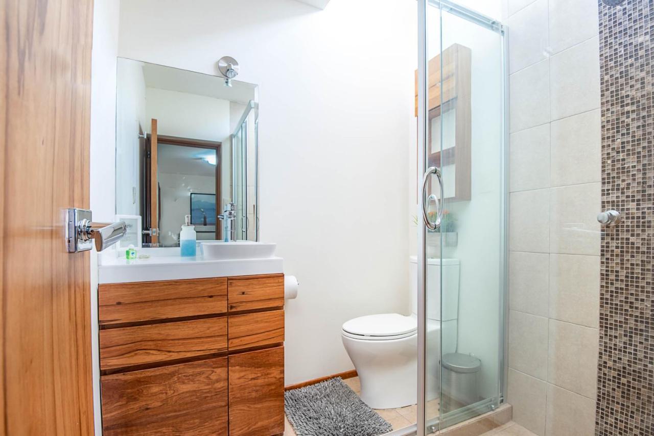 Guest house Coyoacan Mexico City