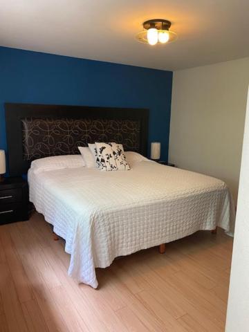 Apartamento Sinaloa 46 *