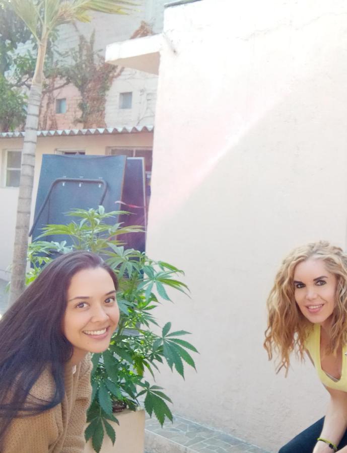 Maktub Only Girls & Breakfast Exclusivo Para Damas Pet Friendly Guest house Mexico City