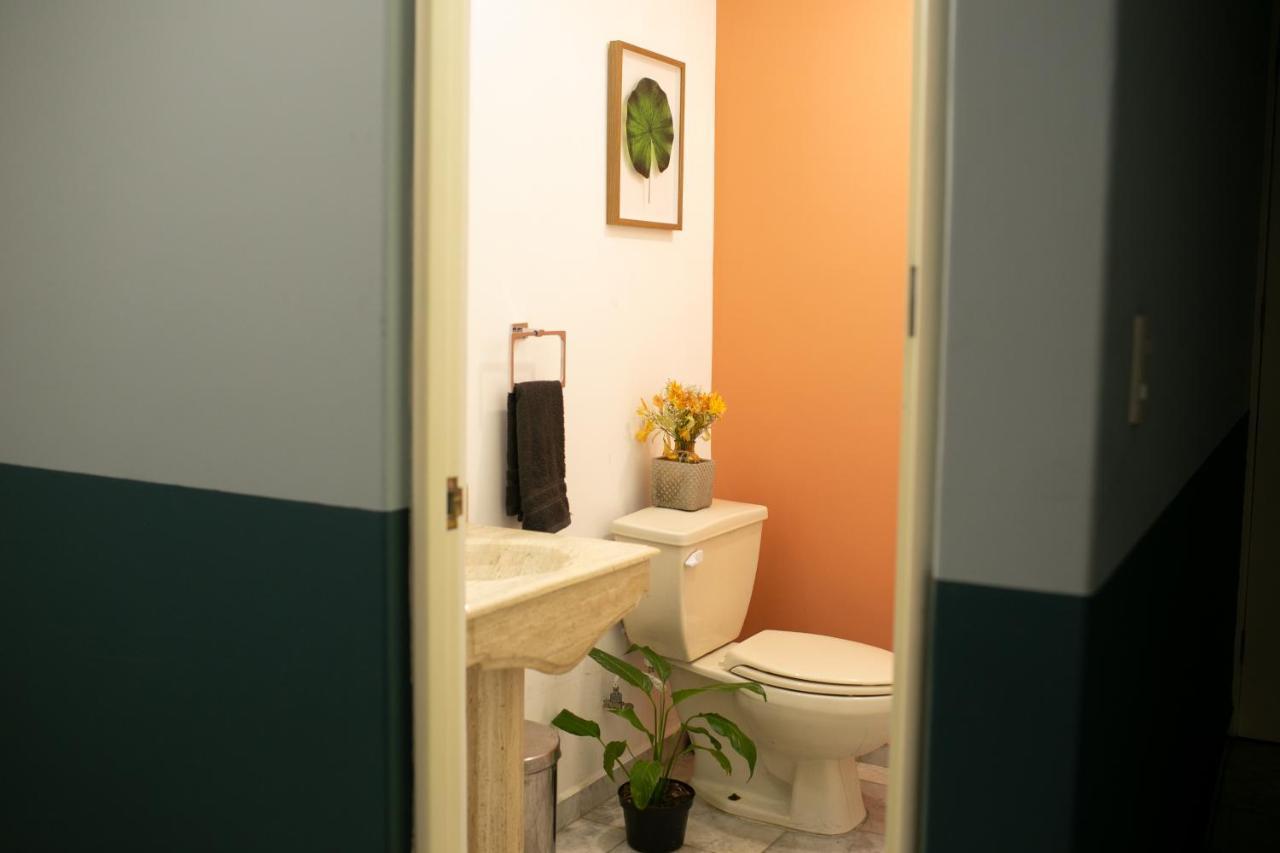 Homestay Blas Pascal Polanco Mexico City